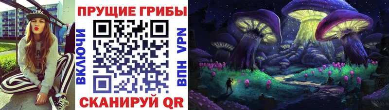 Псилоцибиновые грибы мухоморы  купить наркотики цена  Камешково 