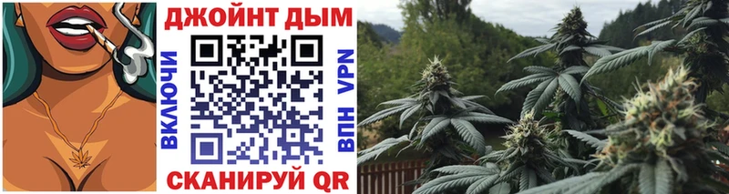 Канабис VHQ  сколько стоит  MEGA как войти  Камешково 